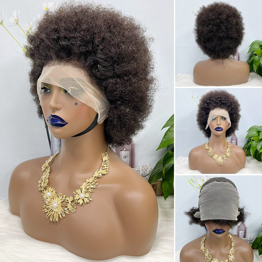 13*4 Lace Wig Afvo Natural Human Hair Color 99J