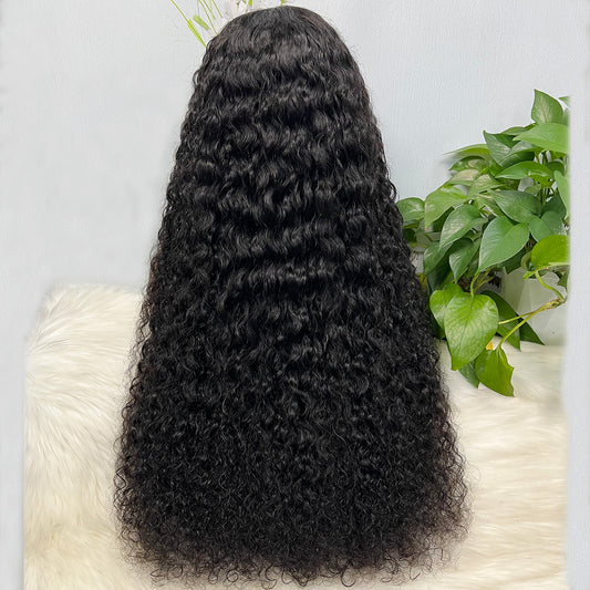 Double Drawn 13*4  Glueless Lace Wig Water Wave Natural Human Hair Wigs Natural Color