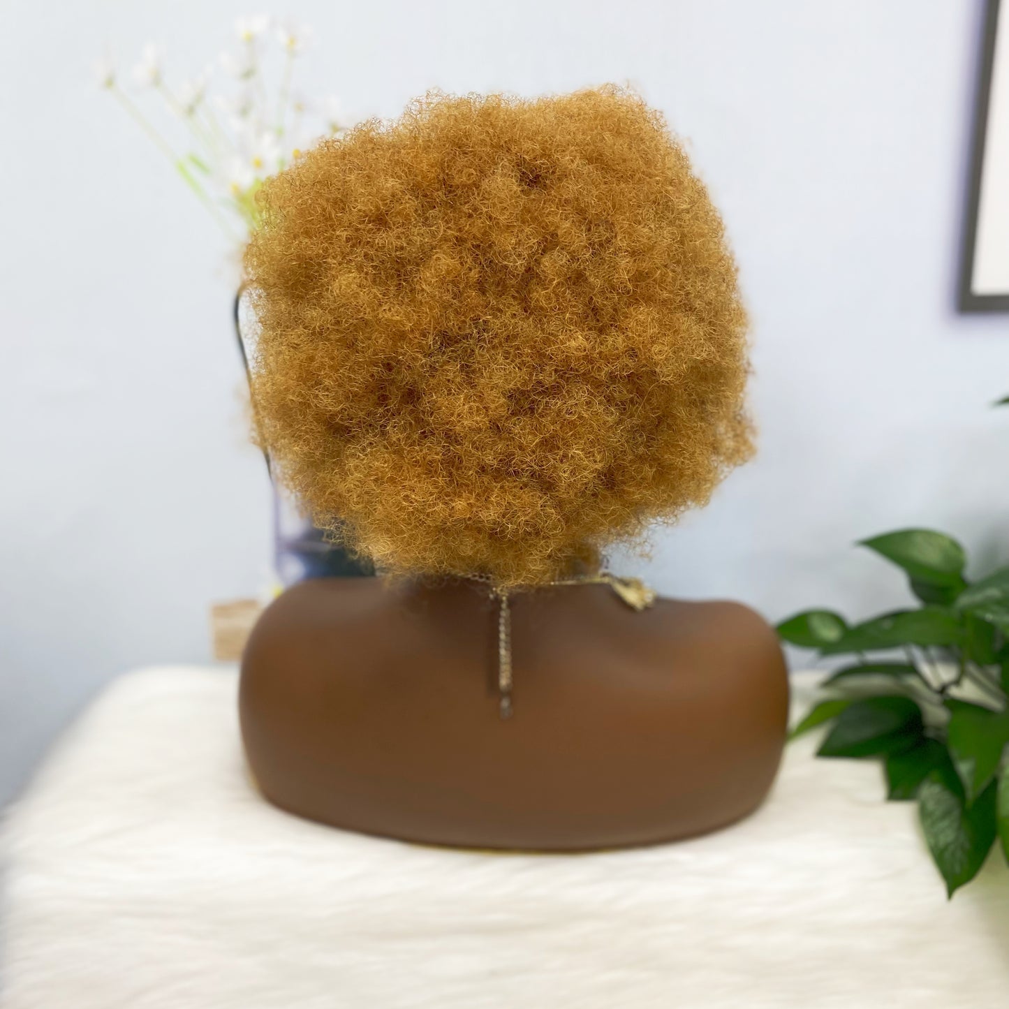 13*4 Lace Wig Afvo Human Hair Color 30# (Partiality)
